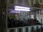 AirPort (20)