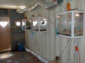AirPort (22)