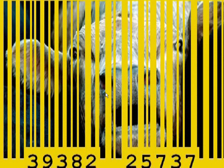 TheGoldenAgeOfBarcodes,VideoStills (15)