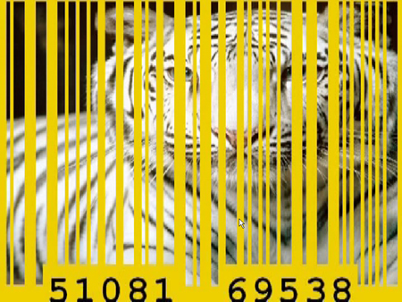 TheGoldenAgeOfBarcodes,VideoStills (20)