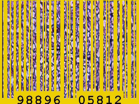 TheGoldenAgeOfBarcodes,VideoStills (27)