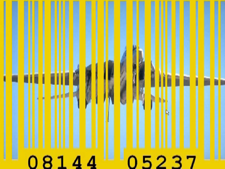 TheGoldenAgeOfBarcodes,VideoStills (30)