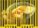 TheGoldenAgeOfBarcodes,VideoStills (2)