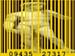 TheGoldenAgeOfBarcodes,VideoStills (21)