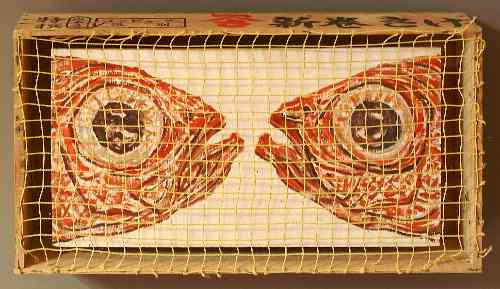 FishesCaughtAndBoxedw.jpg (24337 bytes)