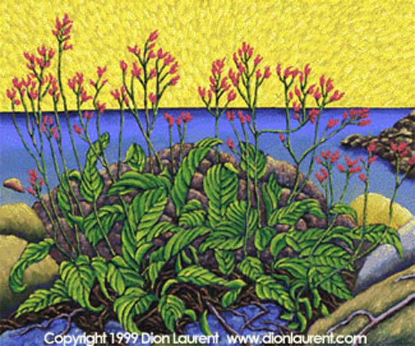 FloweringSunset
