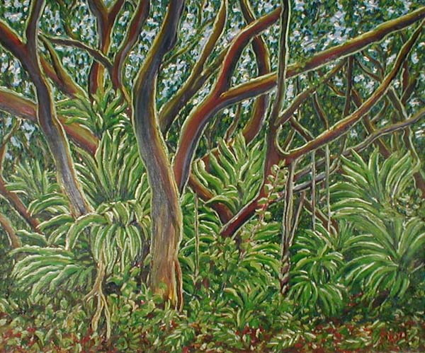 GajamaruForest