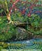 Dripping Spring